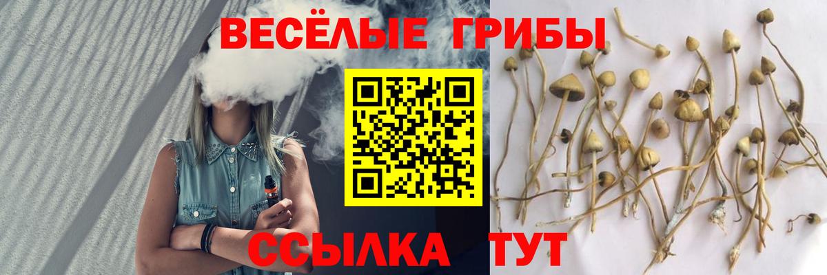 Галлюциногенные грибы прущие грибы  Вход с VPN  Каменск-Шахтинский 